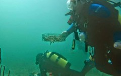 building-dive-bar-reef-171