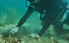 building-dive-bar-reef-186