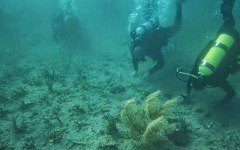 building-dive-bar-reef-201