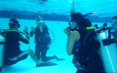 certification-pool-work-003