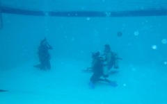 certification-pool-work-007