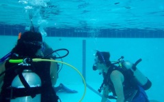 certification-pool-work-020