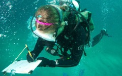 Coral-Grafting-019