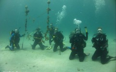 Coral-Grafting-020