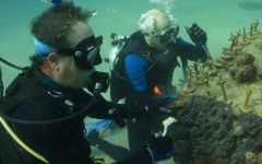 Coral-Grafting-022