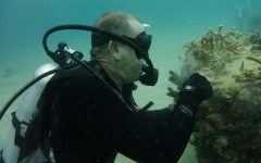 Coral-Grafting-023