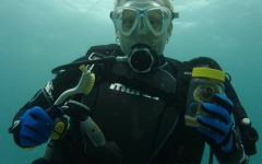Coral-Grafting-026