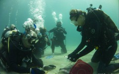 Coral-Grafting-033