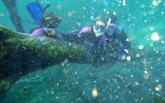 crystal-river-trip-001