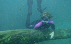 crystal-river-trip-016