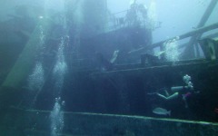 Divebar-dives-kman-107