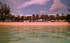 Divebar-dives-kman-108