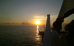 Divebar-dives-kman-115