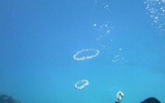 Divebar-dives-kman-128