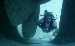 Divebar-dives-kman-131