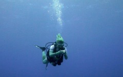 Divebar-dives-kman-138