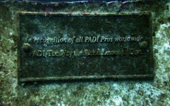 Divebar-dives-kman-139