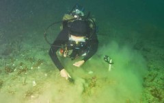 DiveBar-Reef-4-5-2014-007