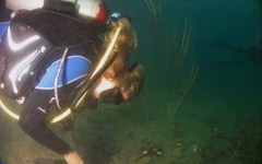 DiveBar-Reef-4-5-2014-012