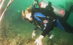 DiveBar-Reef-4-5-2014-014
