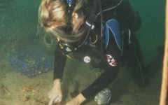 DiveBar-Reef-4-5-2014-015