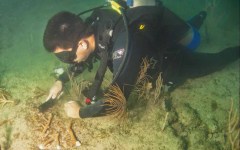 DiveBar-Reef-4-5-2014-021