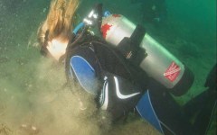 DiveBar-Reef-4-5-2014-027