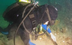 DiveBar-Reef-4-5-2014-029