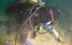 DiveBar-Reef-4-5-2014-030