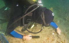 DiveBar-Reef-4-5-2014-031