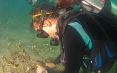 DiveBar-Reef-4-5-2014-037