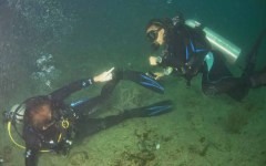 DiveBar-Reef-4-5-2014-054