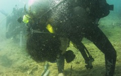 Reef-Coral-Outplanting-104