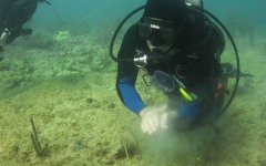 Reef-Coral-Outplanting-105