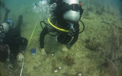 Reef-Coral-Outplanting-126