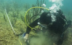 Reef-Coral-Outplanting-95