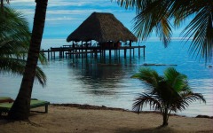 divebars-trip-to-belize-003