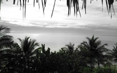 divebars-trip-to-belize-047