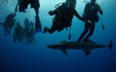divebars-trip-to-belize-063