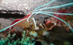 July-22-dive-trip-004