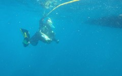 July-22-dive-trip-028