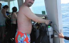 Jupiter_Turtle_2015_Allen.JPG