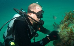 coral-grafting-may-11-2013-117