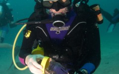 coral-grafting-may-11-2013-133