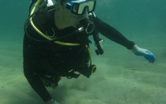 coral-grafting-may-11-2013-142