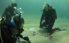 coral-grafting-may-11-2013-174