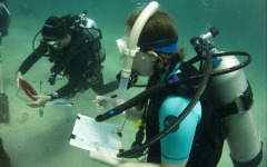 coral-grafting-may-11-2013-194