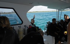 coral-grafting-may-11-2013-21