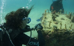 coral-grafting-may-11-2013-70