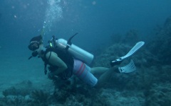 Rainbow-Reef-Dive-June-2019-12